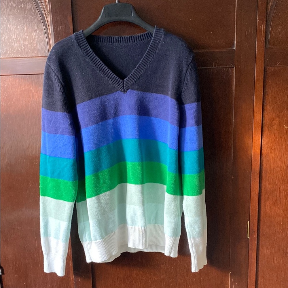 Multicolor Striped V-Neck Men's Sweater